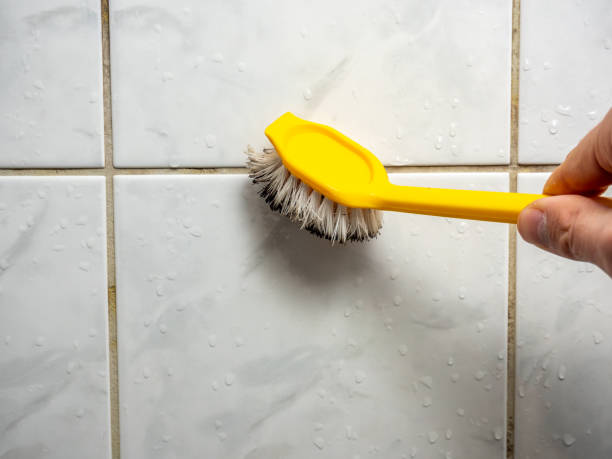 Best Office Mold Removal Services  in Thomasville, NC