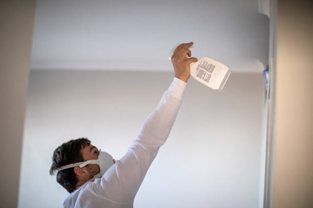 Best Crawl Space Mold Removal  in Thomasville, NC