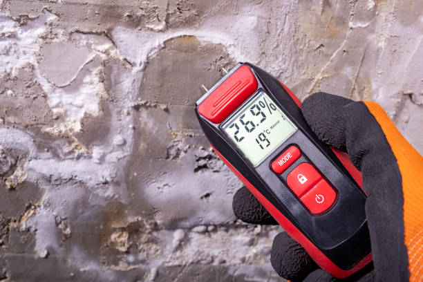 Best Attic Mold Removal  in Thomasville, NC