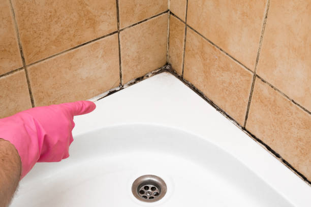 Best Office Mold Removal Services  in Thomasville, NC